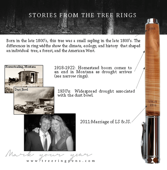 Anniversary Fountain Pen - Tree Ring Co