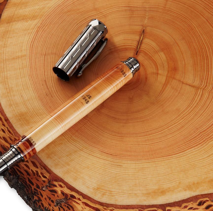 Fountain Pen (Magnetic Cap) - Tree Ring Co