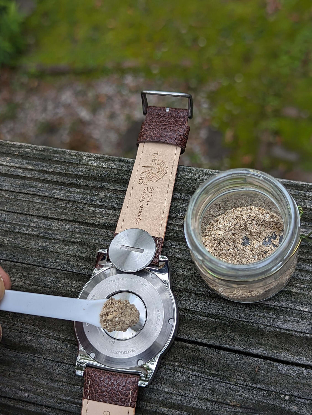 Filling a living tree urn watch with cremation remains from a jar, symbolizing remembrance and honor.