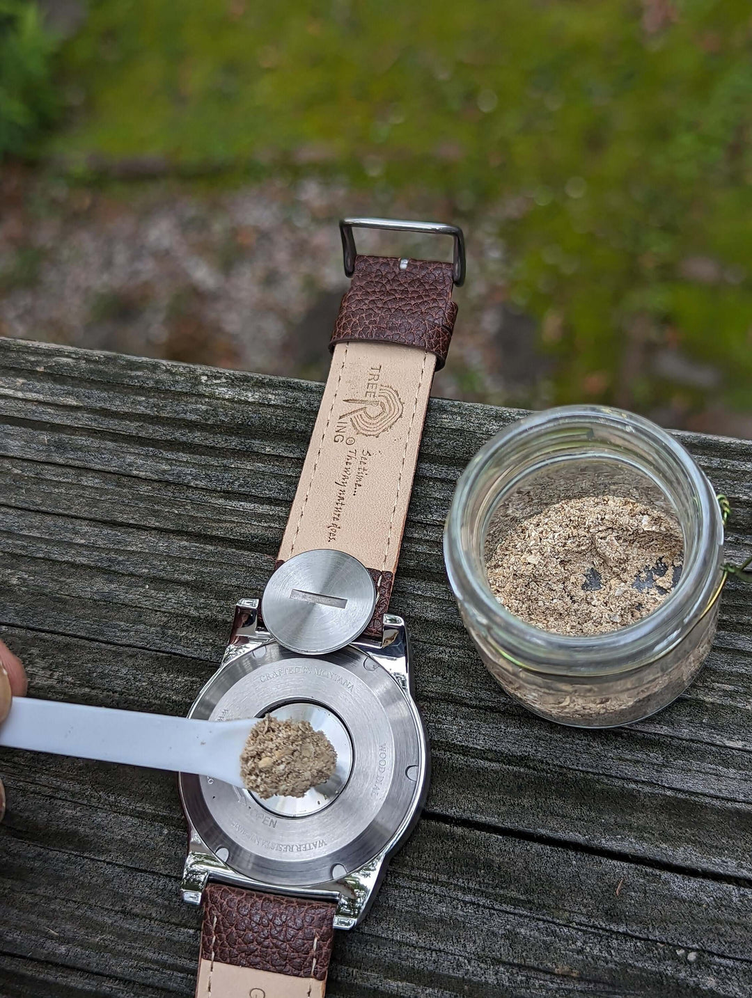 Filling a living tree urn watch with cremation remains from a jar, symbolizing remembrance and honor.