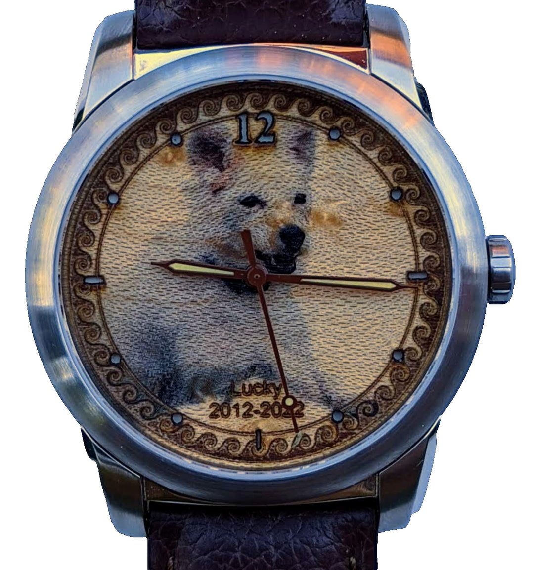 Pet memorial watch featuring a photo of a dog, honoring a beloved pet's memory with cremation ash compartment.